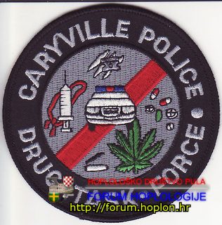 Caryville Police DTF.jpg