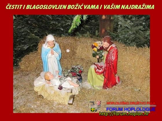 mhboinaestitka2009.jpg