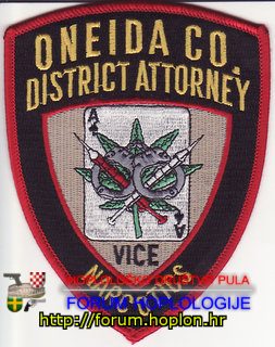 Oneida Co. DA N.jpg