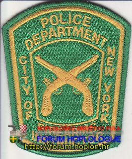 New York PD FI.jpg