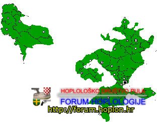 modernbosnia.jpg
