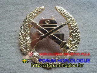 Armija B&H.jpg