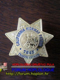 Pin - CHP.jpg