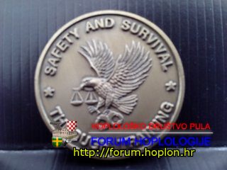 FBI - S&STT (2).jpg
