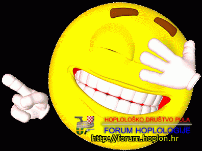 7.gif