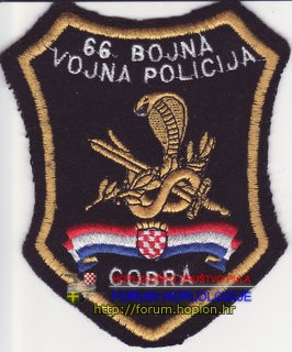 VP 66. b (1).jpg