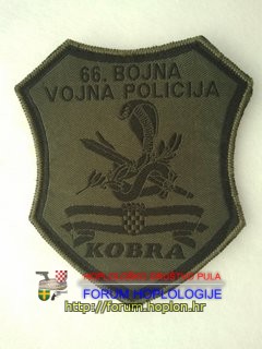 VP 66. b (3).jpg