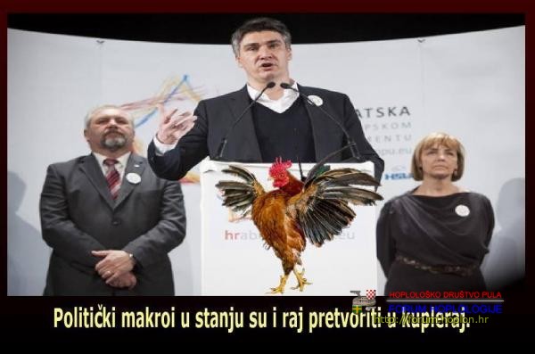 original.jpg