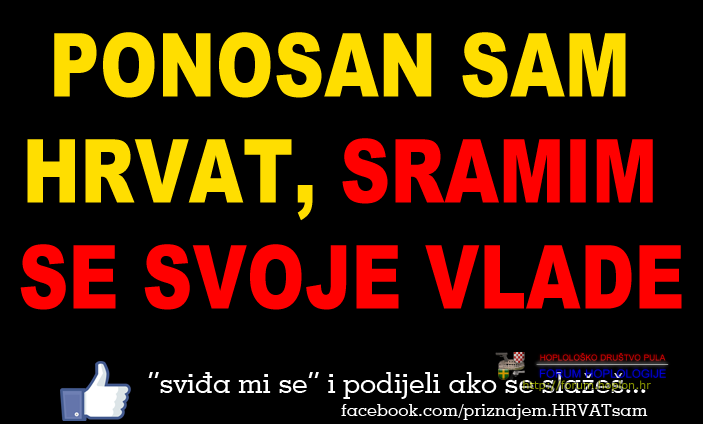 12033080_888084087939356_8930675835942530644_n.png