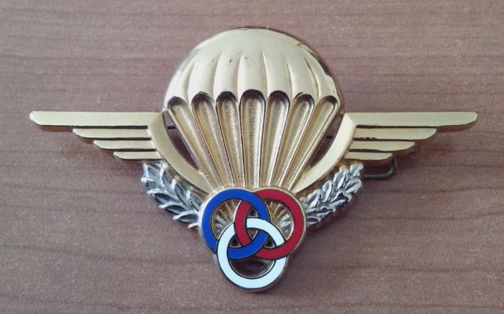 French military parachutist badge  (5).jpg