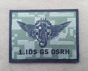 1. IDS GS OSRH.jpg