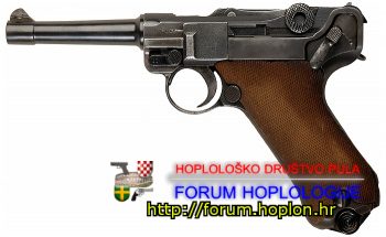 350px-LugerP08Pistol.jpg