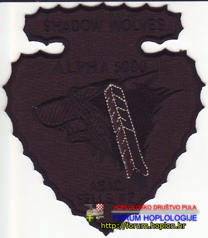 US ICE - Shadow Wolves - a unit of Native American trackers.jpg