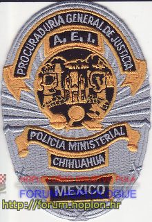 PCJ A.E.I. PM Chihuahua.jpg