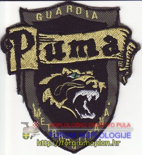 Urugvaj - GM Puma.jpg