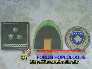 Kosovo Security Forces.jpg